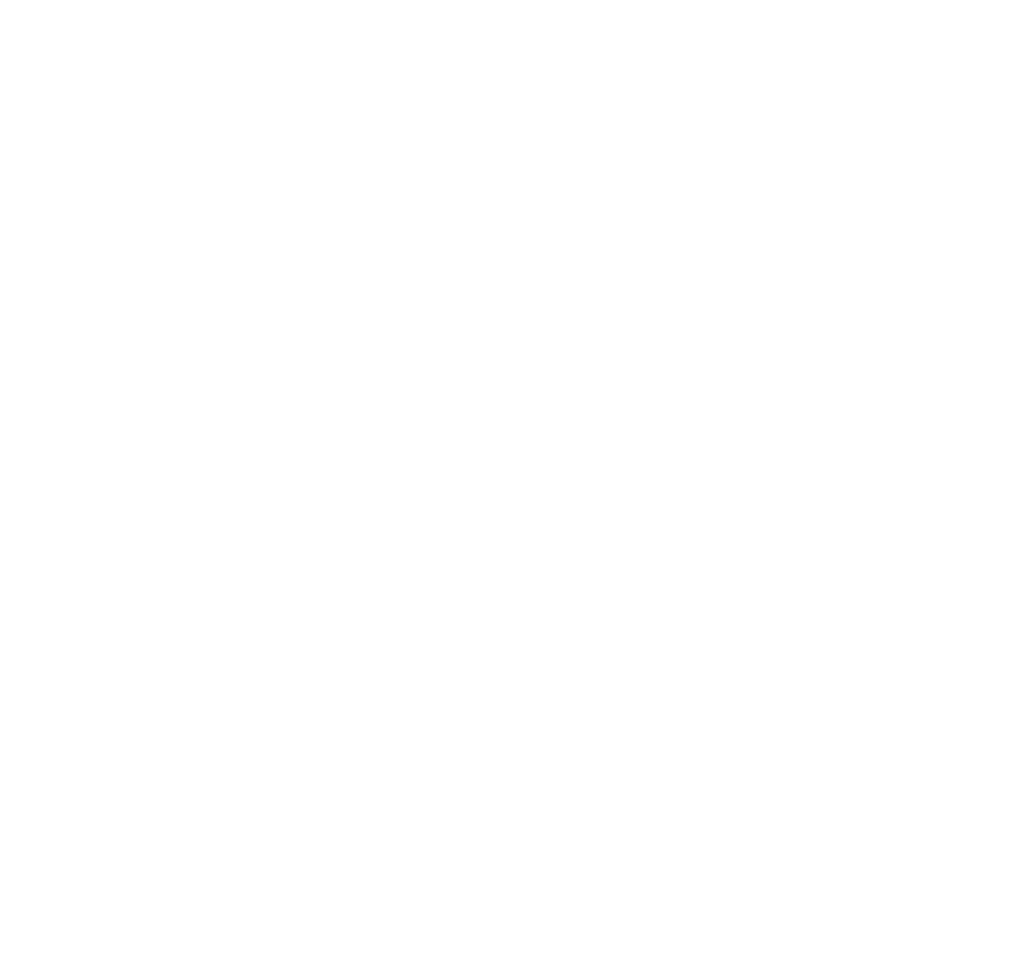 Performance Pro
